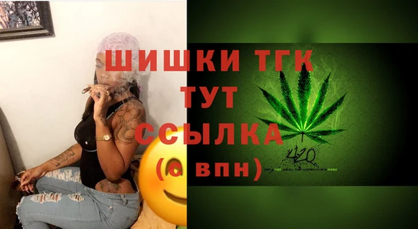 гашик Волосово